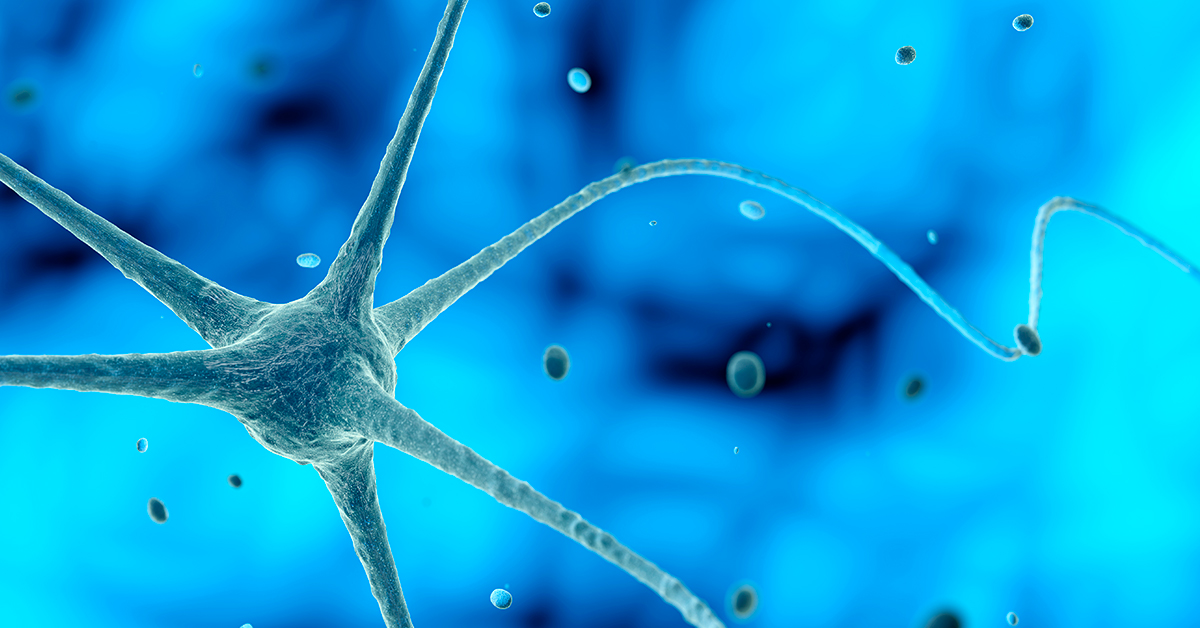 Proteína Com Efeito Anti-inflamatório Em Neurônios Pode Prevenir Doenças Neurodegenerativas